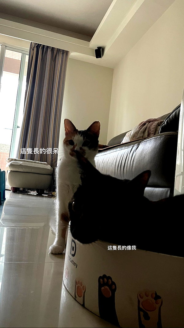 jiw_____n instagram image archive image