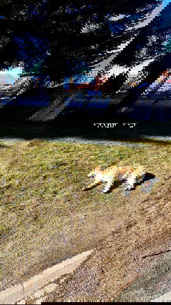 natalllluli natalllluli archive image