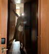 veroni22ka Altpins Profile Picture