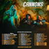 cannonstheband Altpins Profile Picture