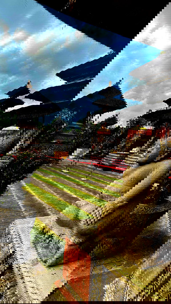 taylor.creeden taylor.creeden archive image