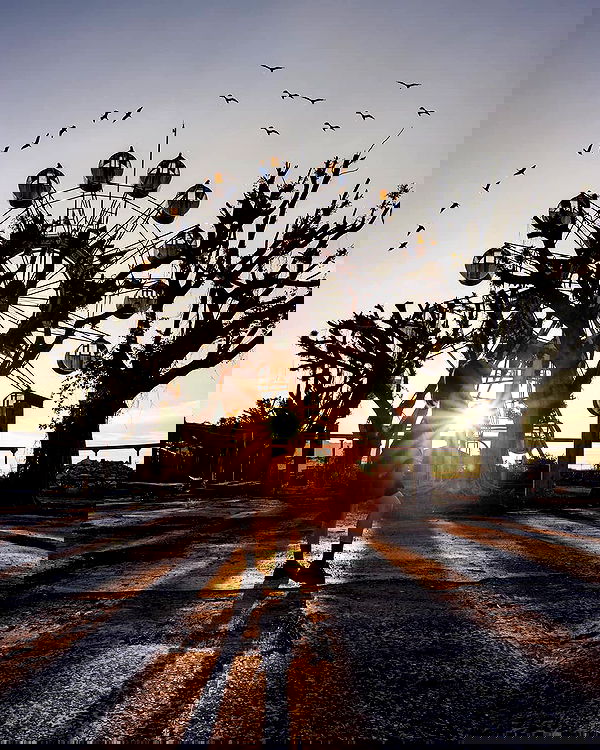 ting851204 ting851204 archive image