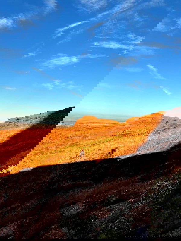 thelizzyporter thelizzyporter archive image