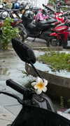 maya.keyy Altpins Profile Picture