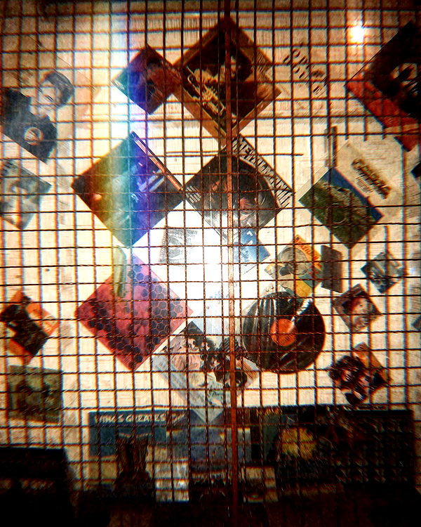 roni_ackerman instagram image archive image