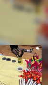 dante_yangpa Altpins Profile Picture