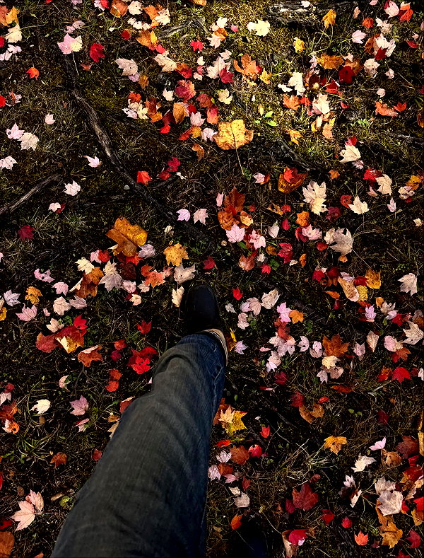 reneeebeller instagram image archive image