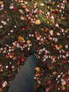 reneeebeller Altpins Profile Picture