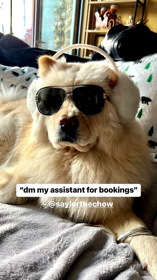 chloerosenbaum instagram image archive image
