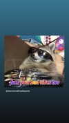 haileylayfield Altpins Profile Picture