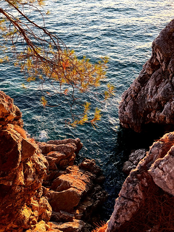 pokrov90 instagram image archive image