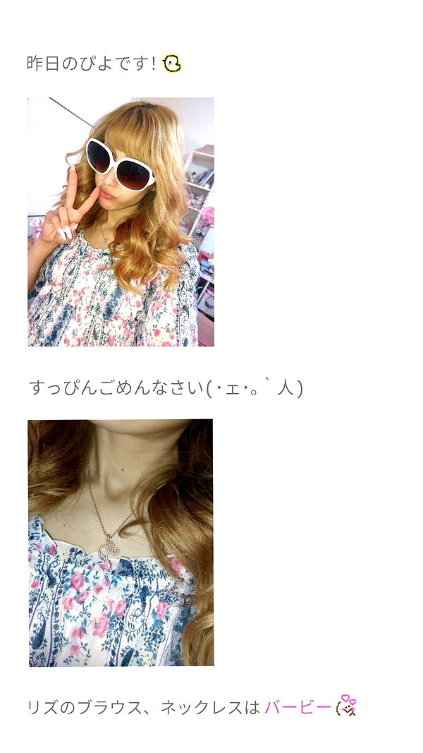 piyokoblog archive image