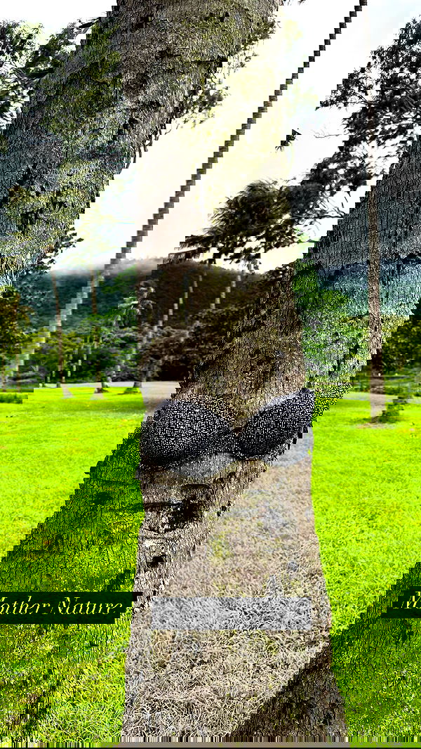 taylor.creeden taylor.creeden archive image