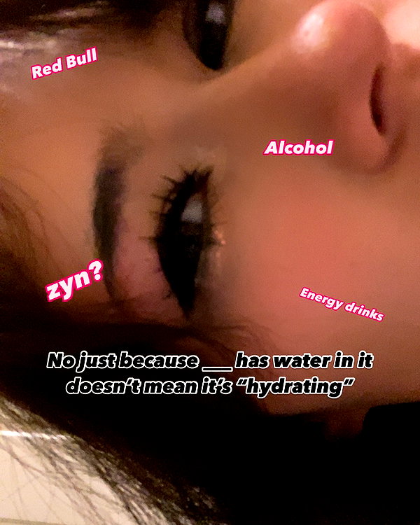 war_hamster6 instagram image archive image