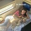 saaay_nas Altpins Profile Picture