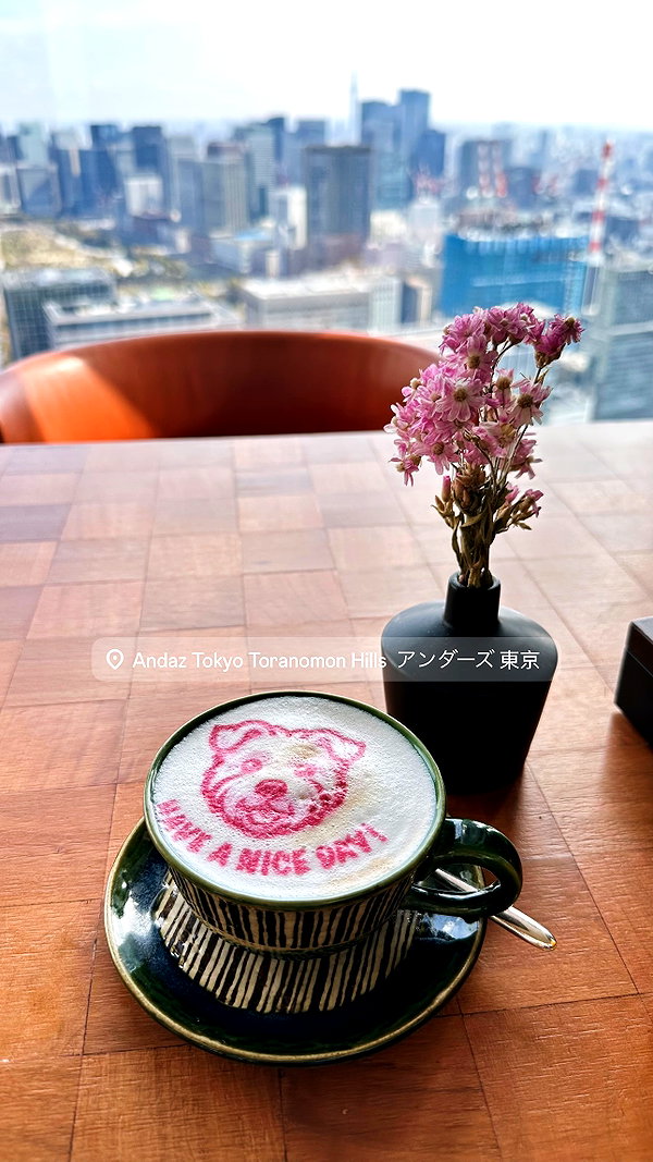 Archived image from @stateofrachel on Instagram