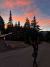 taratornquist Altpins Profile Picture