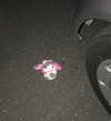 cuteamber666 Altpins Profile Picture