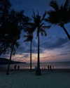 gritsa.k Altpins Profile Picture