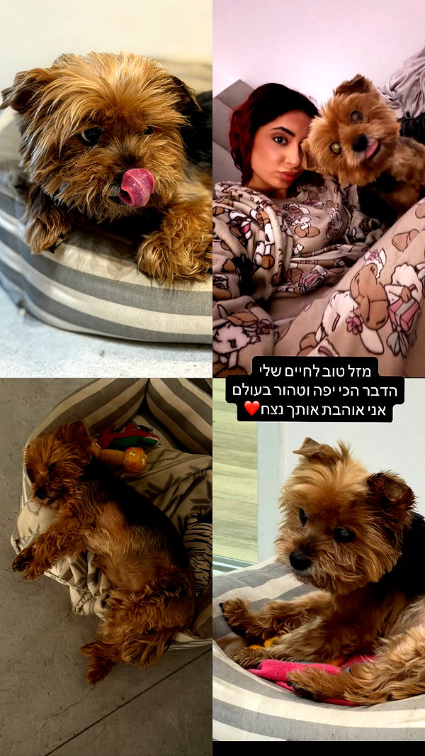 _noa_onn_ instagram image archive image