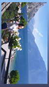 nicole.shpo Altpins Profile Picture