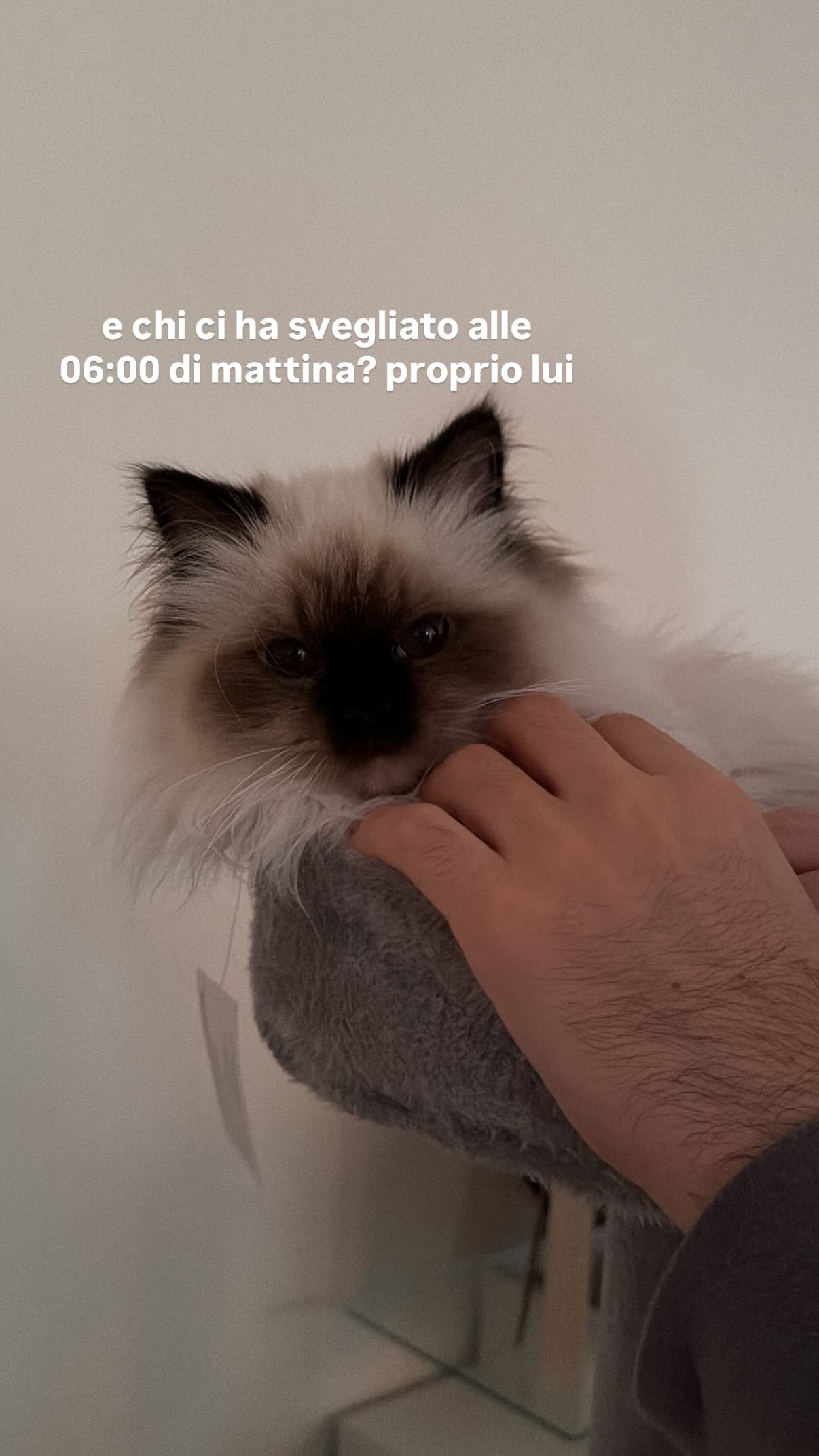 kasumi_sen instagram image archive image