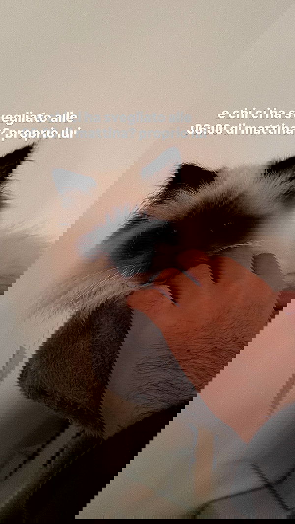 kasumi_sen image ~ Altpins