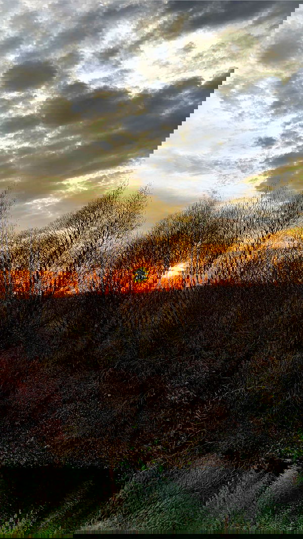 nyityam nyityam archive image