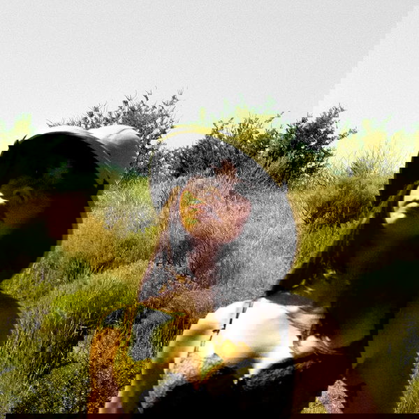 haylujan haylujan archive image