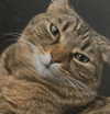 nishymoon_ Altpins Profile Picture