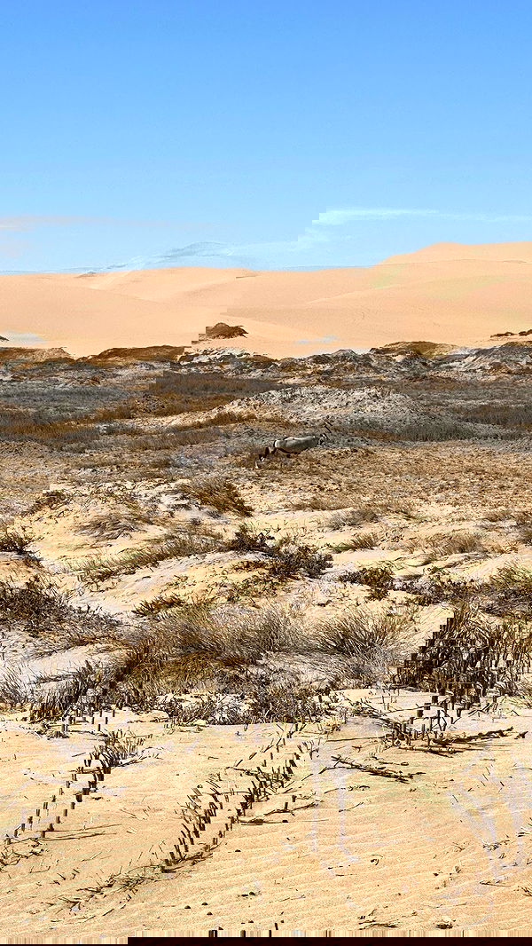 taylor.creeden taylor.creeden archive image