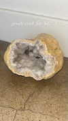 ifkissescouldleavecuts Altpins Profile Picture