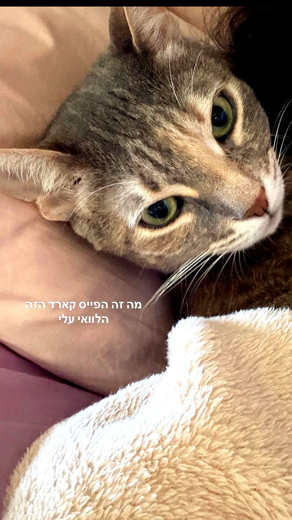 Archived image from @notchicore on Instagram