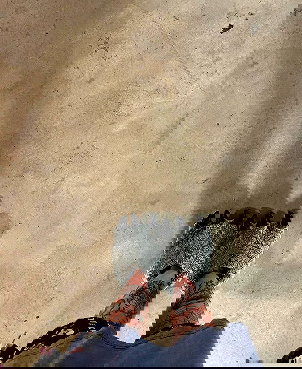 jtilb2 image ~ Altpins