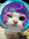 zoxmbiex Altpins Profile Picture