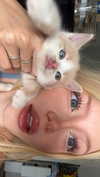 by.diwwa Altpins Profile Picture