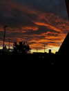 astarwbry_ Altpins Profile Picture