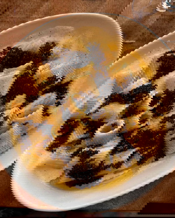 taylor.creeden taylor.creeden archive image