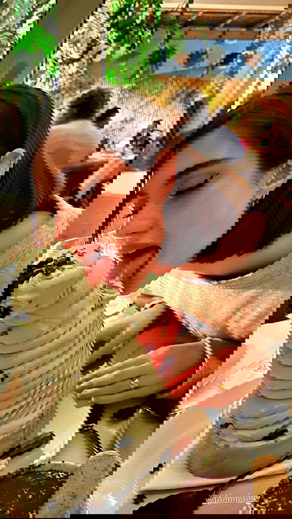 taylor.creeden taylor.creeden archive image