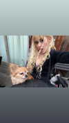 ormosheee Altpins Profile Picture