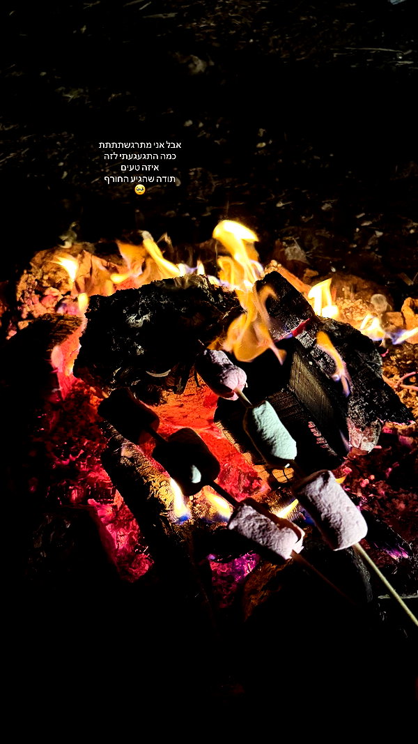 shaharo__._ archive image
