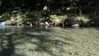 gissell_eli Altpins Profile Picture