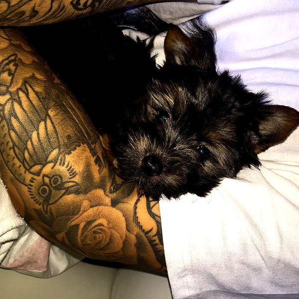 lilbieber instagram image archive image
