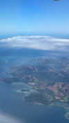 maori_cohen Altpins Profile Picture