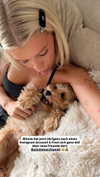 sophiecharlotth Altpins Profile Picture
