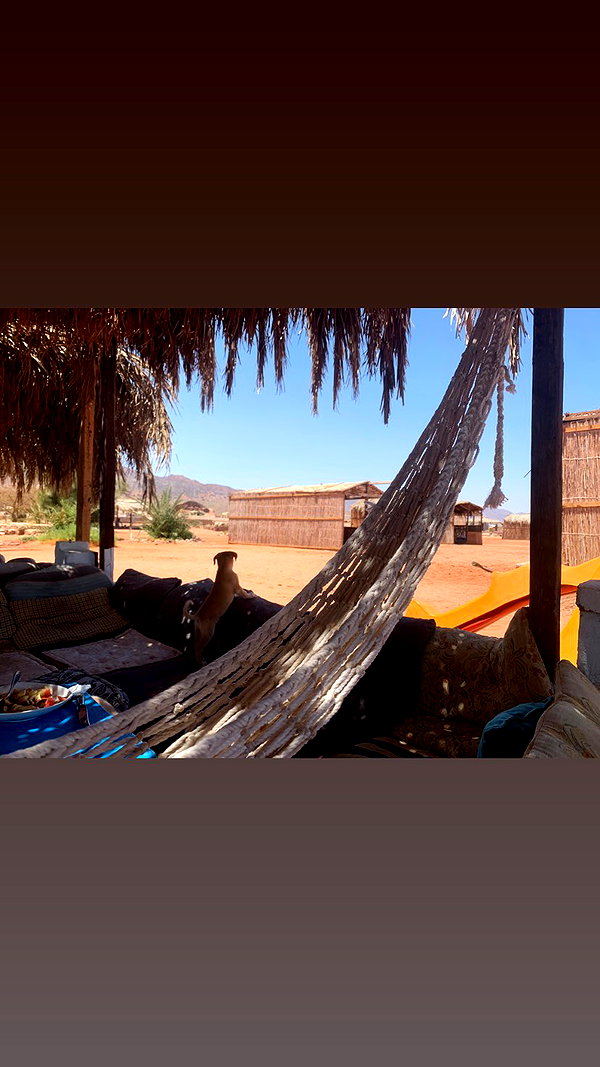 sh1rawein instagram image archive image