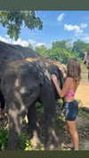 lishai_halevi Altpins Profile Picture