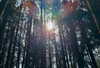2.hui__ Altpins Profile Picture