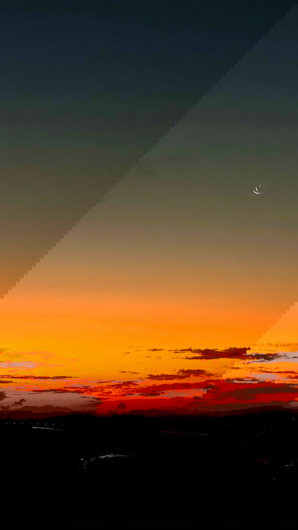 taylor.creeden taylor.creeden archive image