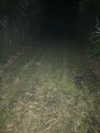 kimberr_0000 Altpins Profile Picture
